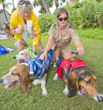 Pet Masquerade and Parade 2013 photo - Duval Street, Key West